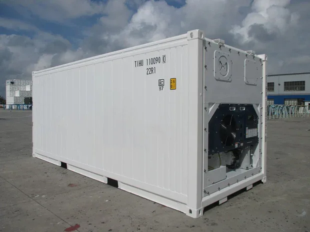 Contenedor refrigerado Reefer de 20 pies monofásico