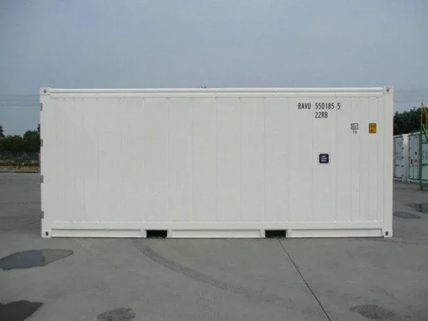Contenedor refrigerado Reefer de 20 pies usado