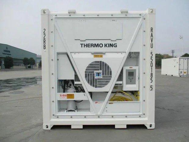 Contenedor refrigerado Reefer de 20 pies usado