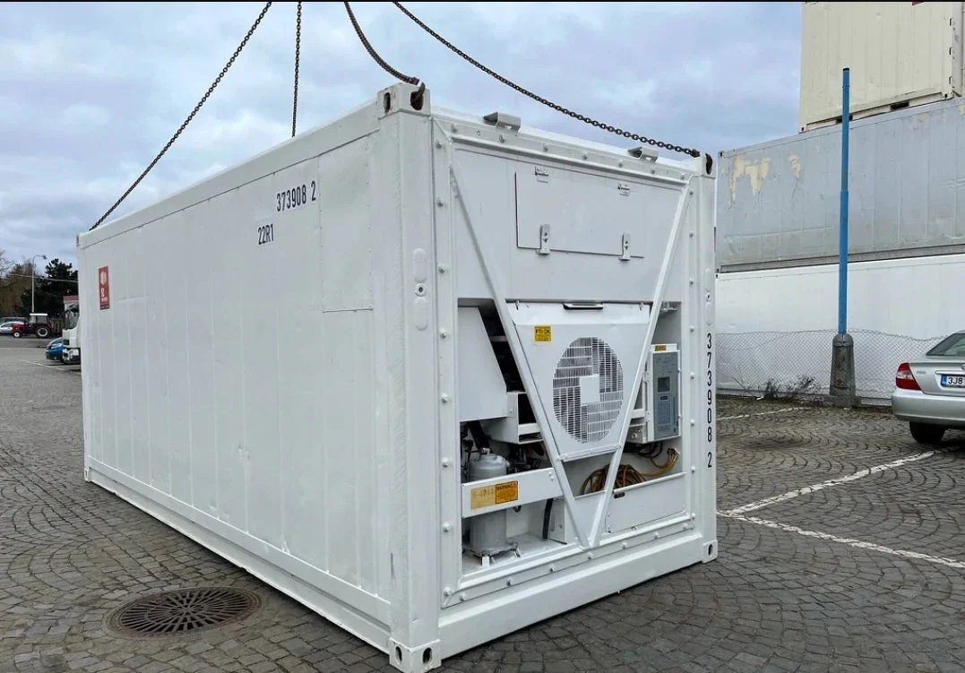 Contenedor frigorífico congelador 20 pies RF